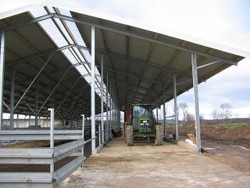 Boxenlaufstalls